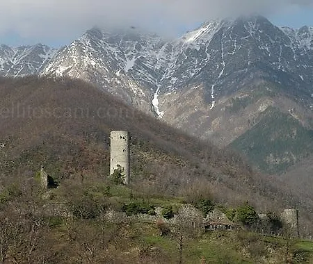 Elisa