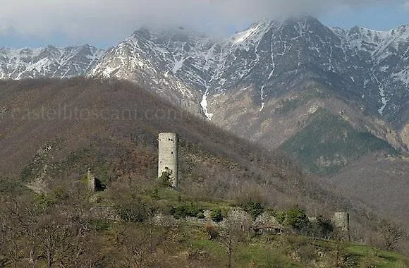 Elisa