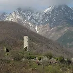 Elisa